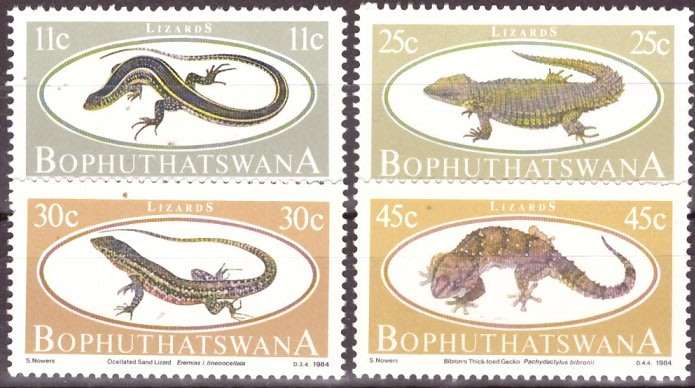 BOP  1984 Lizards UMM SET
