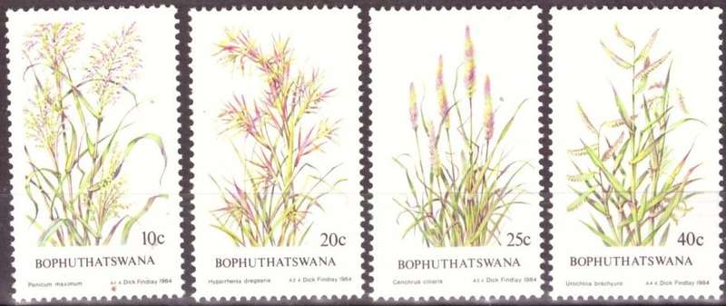 BOP  1984 Indigenous Grasses UMM SET