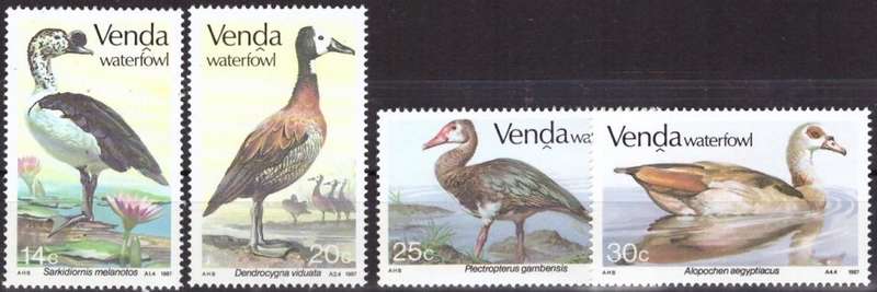 VENDA  1987 Waterfowl MNH SET