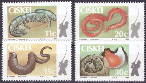CISKEI 1984 Costal Angeling UMM SET
