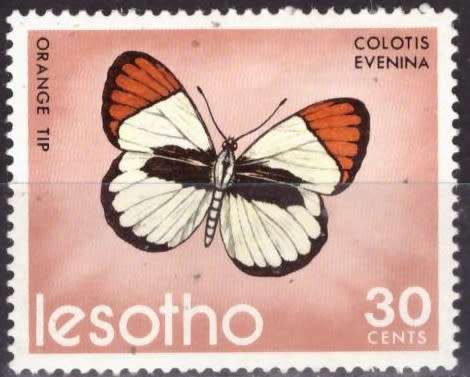 LESOTHO 1973 Butterflies MM CV R58