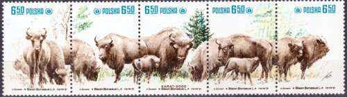 POLAND 1981 Nature Protection - The European Bison UMM CV R114 M 2764-68