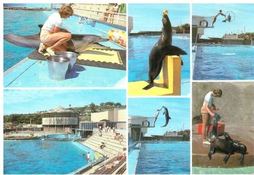 OLD UNUSED, POST CARD SA PE