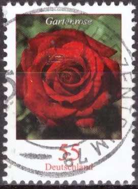 GERMANY 2005 Definitive Issue - Flowers ULH CV R42 SG 3313