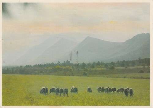 OLD USED, POST CARD POSTal HISTORY