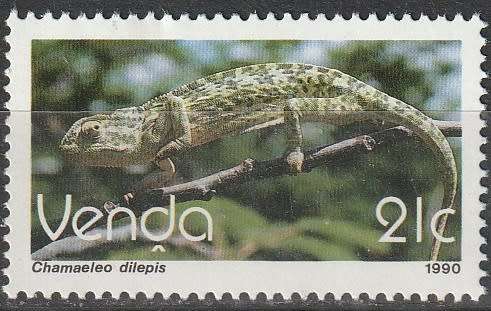 VENDA 1990 Reptiles UMM