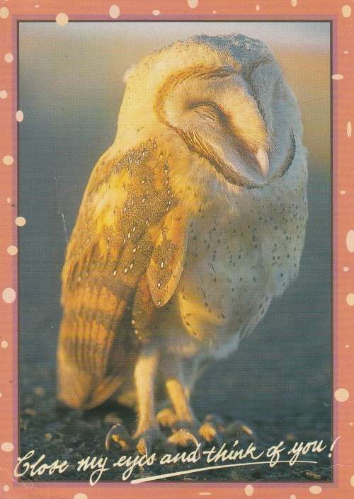 OLD USED POST CARD SOUTH AFRICA