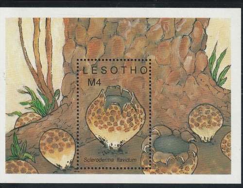 LESOTHO 1989 Mushrooms UMM CV R110 SG MS904