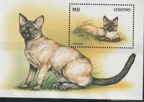 LESOTHO 1998 Cats of the World UMM CV R176 SG MS1400A