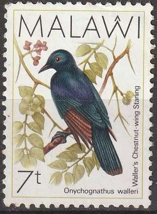 MALAWI 1988 Birds ULH CV R33 SG 792