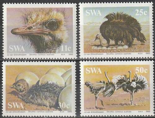 SWA 1985 South African Ostrich UMM