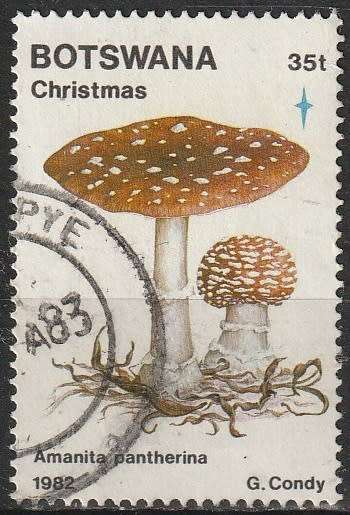 BOTSWANA 1982 Christmas - Fungi ULH CV R44 SG 535 DISCOUNTED