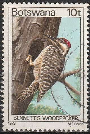 BOTSWANA 1978 Birds ULH CV R13.20 SG 417
