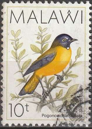 MALAWI 1988 Birds ULH CV R33 SG 794