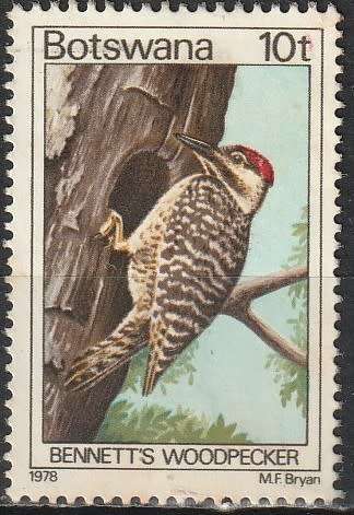 BOTSWANA 1978 Birds CV R13.20 SG 417 ULH