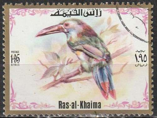 THEMATIC BIRDS RAS-AL-KHAIMA