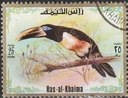 THEMATIC BIRDS RAS-AL-KHAIMA