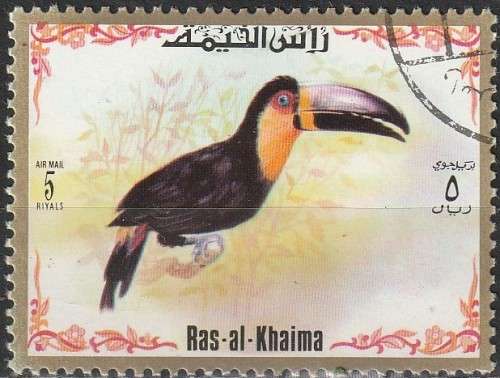 THEMATIC BIRDS RAS-AL-KHAIMA
