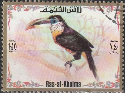 THEMATIC BIRDS RAS-AL-KHAIMA