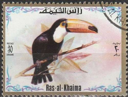 THEMATIC BIRDS RAS-AL-KHAIMA