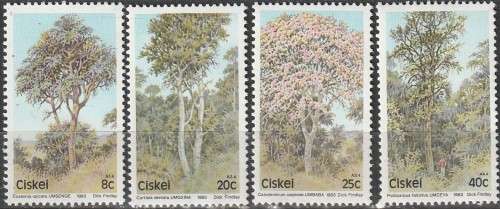 CISKEI 1983 Flora - Trees UMM