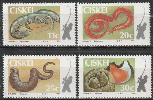CISKEI1984 Costal Angeling UMM
