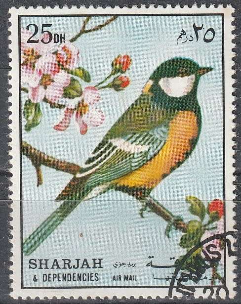 THEMATIC BIRDS SHARAJAH ULH