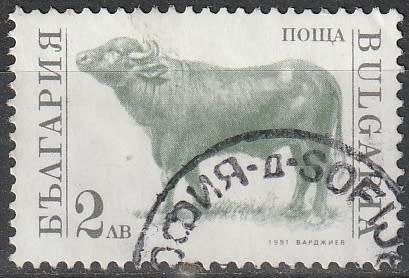 BULGARIA 1991 Domestic Animals UNH CV R24.20 SG 3736