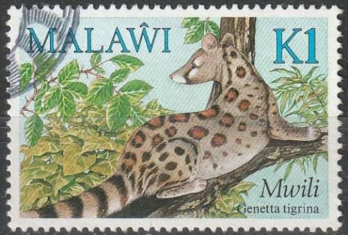 MALAWI 1984 Small Mammals ULH CV R121 SG 706