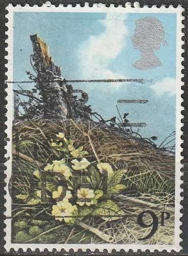 GB 1979 British Wild Flowers ULH SG 1079