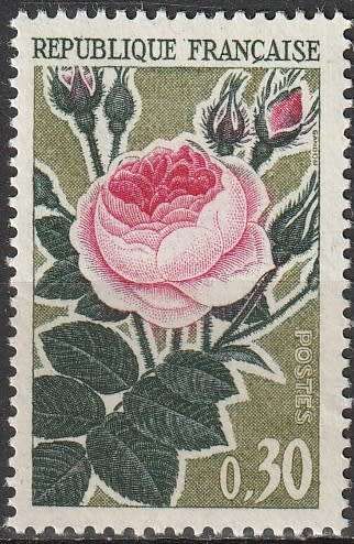 FRANCE 1962 Rose Culture MM SG 1584