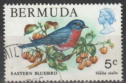 BERMUDA 1978 Wildlife FINE USED SG 389