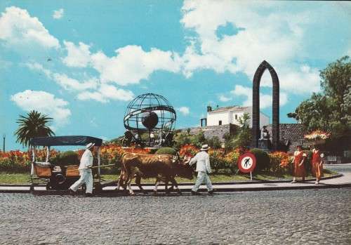 UN USED POST CARD MADEIRA