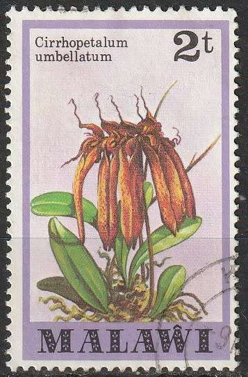 MALAWI 1979 Orchids FINE USED SG 578