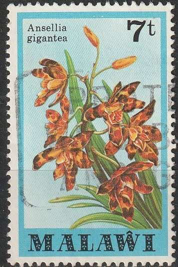 MALAWI 1979 Orchids FINE USED SG 580
