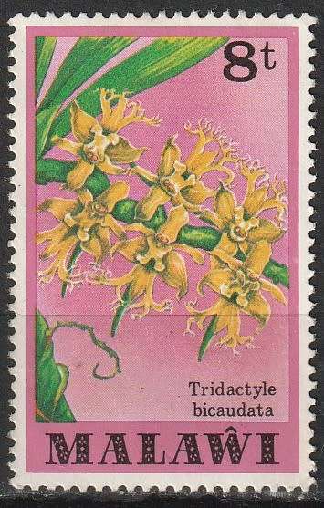 MALAWI 1979 Orchids FINE USED SG 581