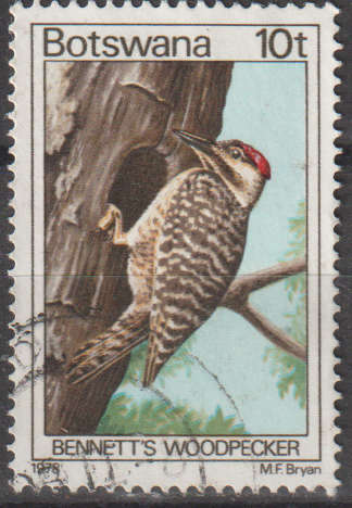 BOTSWANA 1978 Birds ULH SG 417