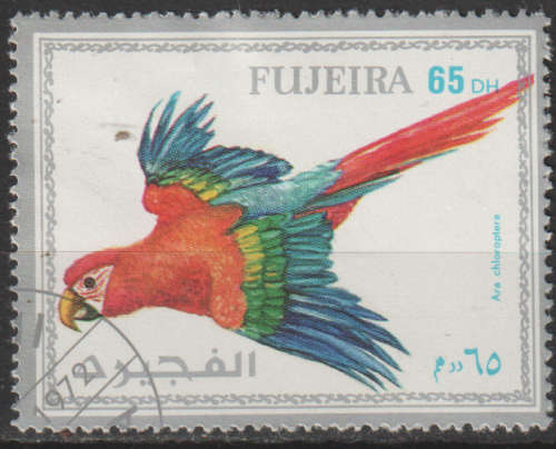 THEMATIC BIRDS FUJEIRA CTO
