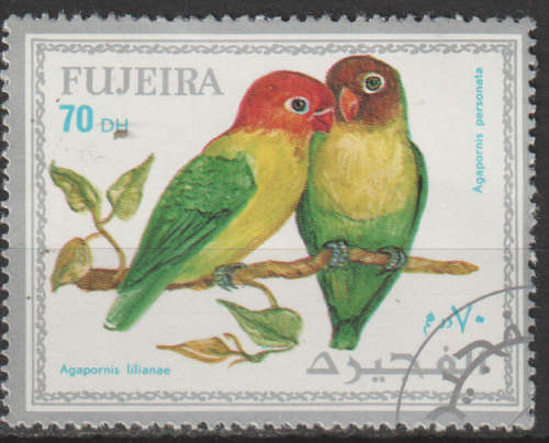 THEMATIC BIRDS FUJEIRA CTO