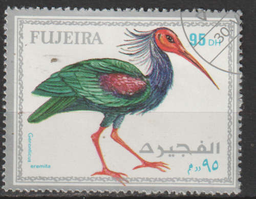THEMATIC BIRDS FUJEIRA CTO