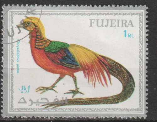THEMATIC BIRDS FUJEIRA CTO