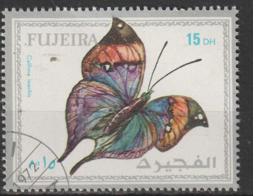 THEMATIC BUTTERFLIES FUJEIRA CTO
