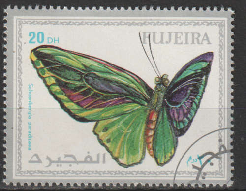 THEMATIC BUTTERFLIES FUJEIRA CTO