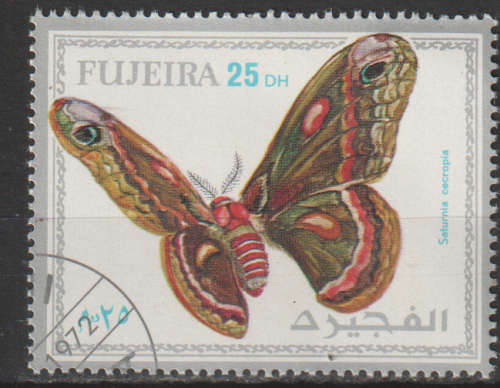 THEMATIC BUTTERFLIES FUJEIRA CTO