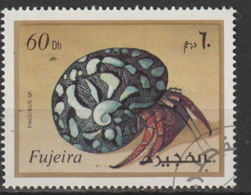 THEMATIC MARINE LIFE FUJEIRA CTO