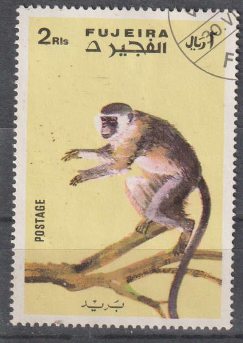 THEMATIC ANIMALS FUJEIRA ULH