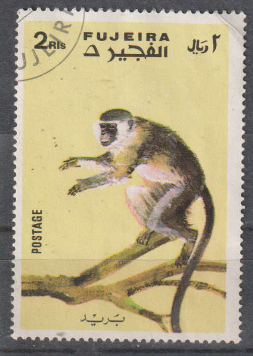 THEMATIC ANIMALS FUJEIRA ULH