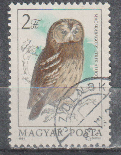 THEMATIC BIRDS HUNGARY ULH