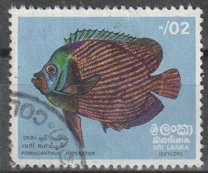 SRI LANKA 1972 Fish ULH SG 594