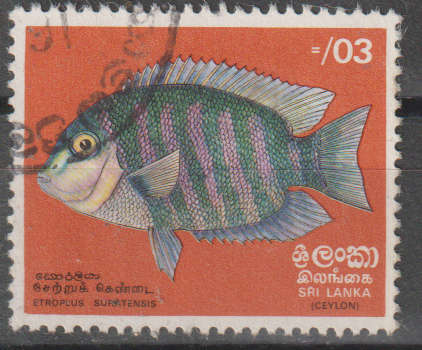 SRI LANKA 1972 Fish ULH SG 595